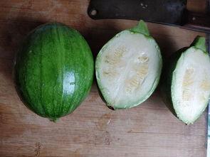 娱乐吃瓜酱属于什么